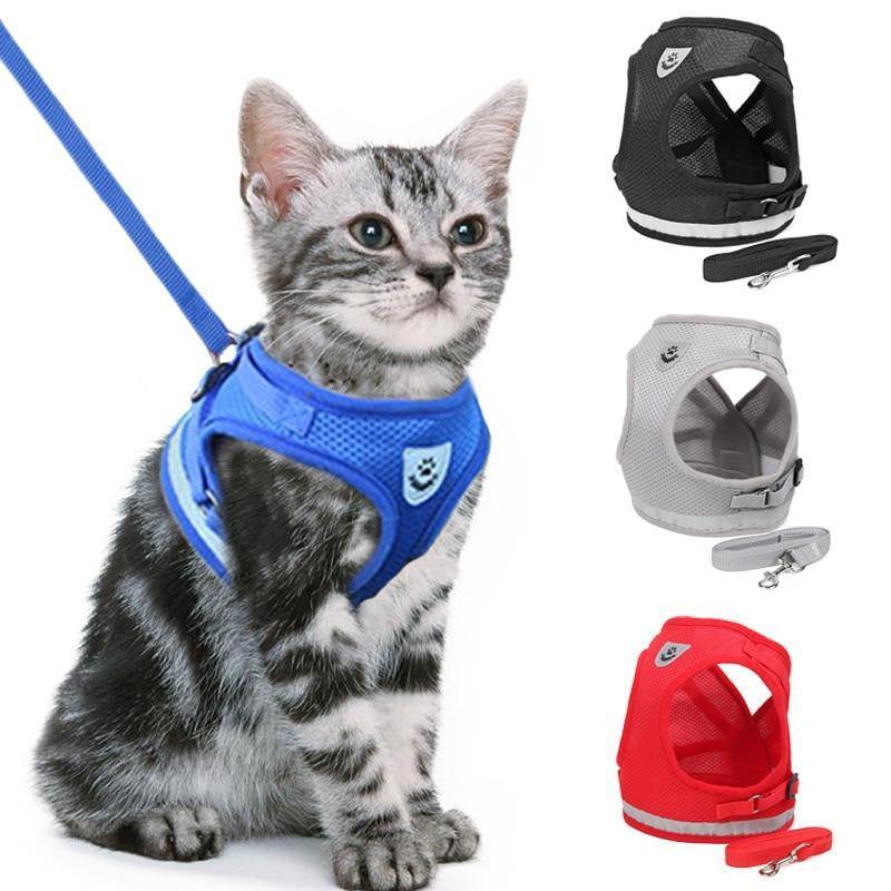 Coleira peitoral ajust�vel para gatos